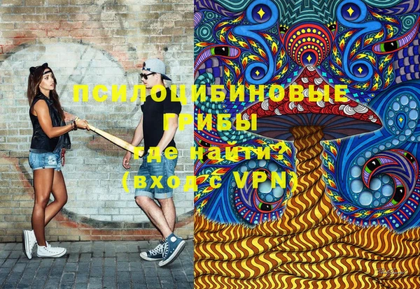 шишки Наволоки