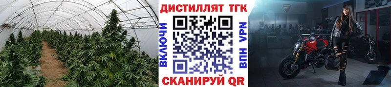 сколько стоит  Рыльск  kraken рабочий сайт  Дистиллят ТГК THC oil 